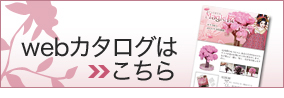 Magic���̃J�^���O�͂�����