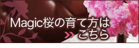 Magic���̈�ĕ�