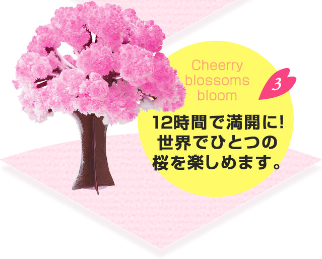 12時間で万回に！世界でひとつの桜を楽しめます。