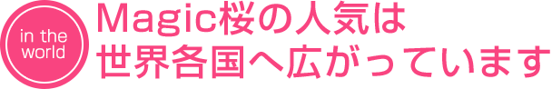 Magic桜の人気は世界各国へ広がっています