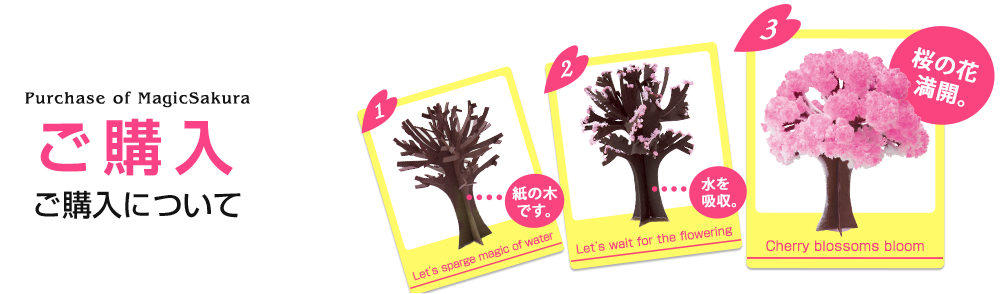 magic桜のご購入 ご購入 エア花見 インドア花見にも 四季を通して大人気 マジック桜