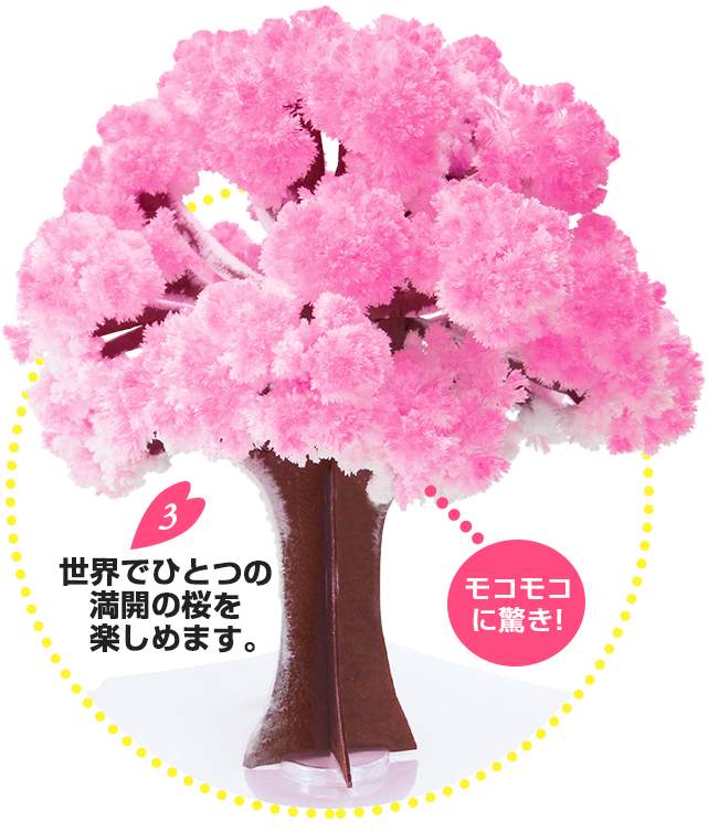 世界でひとつの満開の桜を楽しめます。