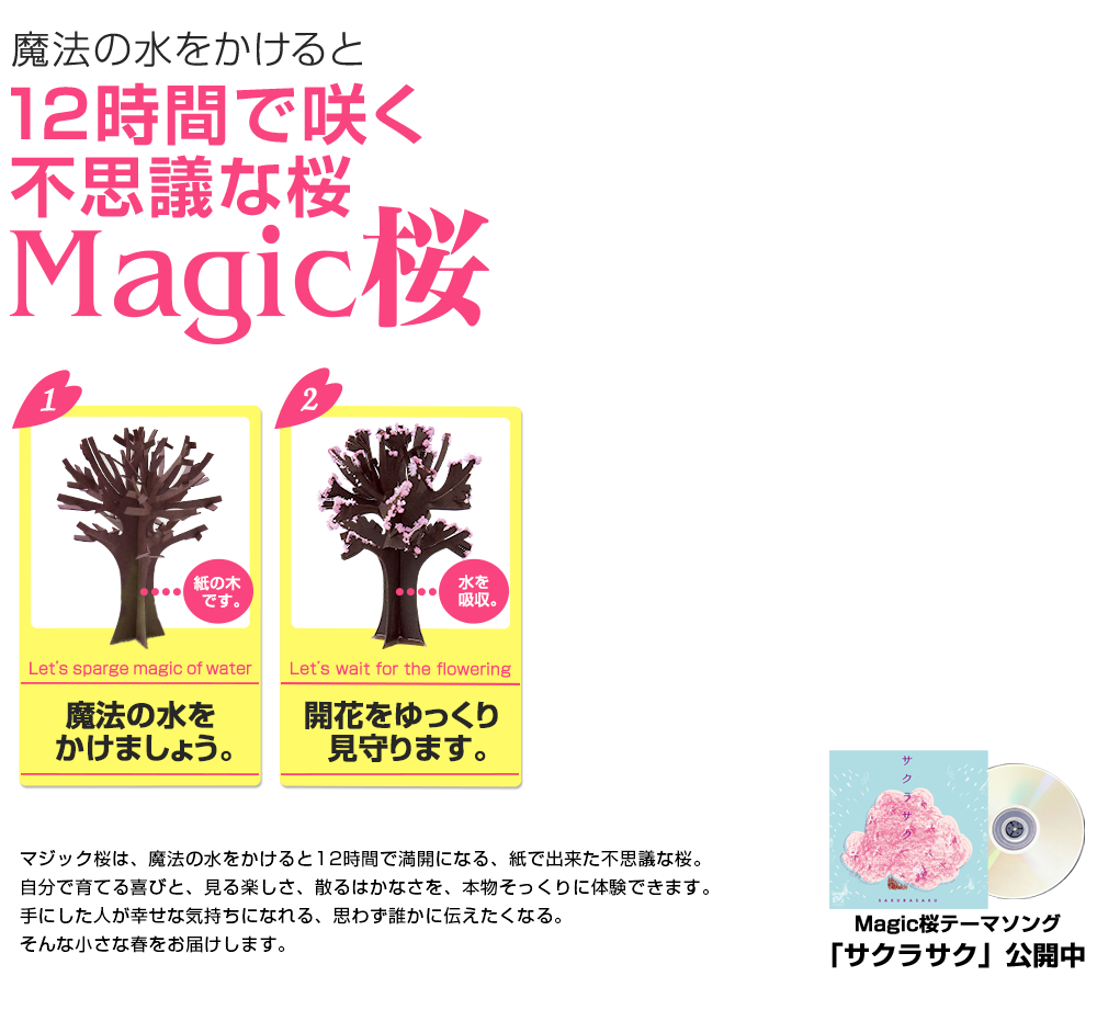 魔法の水をかけると１２時間で咲く不思議な桜「マジック桜」