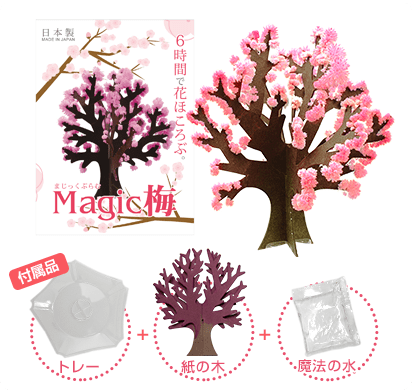 Magic梅 商品内容