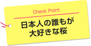 日本人の誰もが大好きな桜