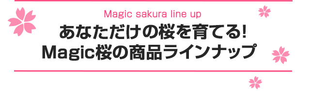 あなただけの桜を育てる！Magic桜の商品ラインナップ